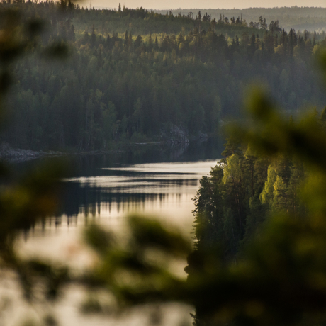 Пейзаж Карелии